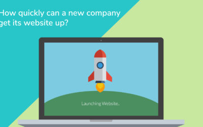 How quickly can a new company get its website up?