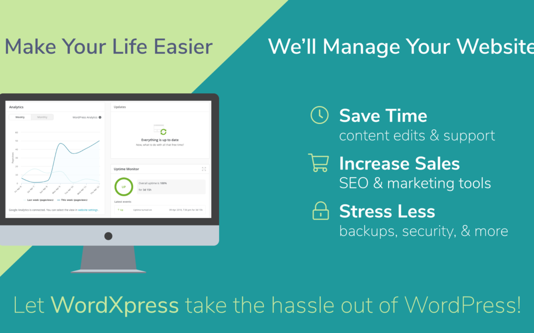 wpXPRESS manage WordPress support seo security