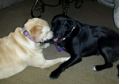 Mab and molly playing 2013