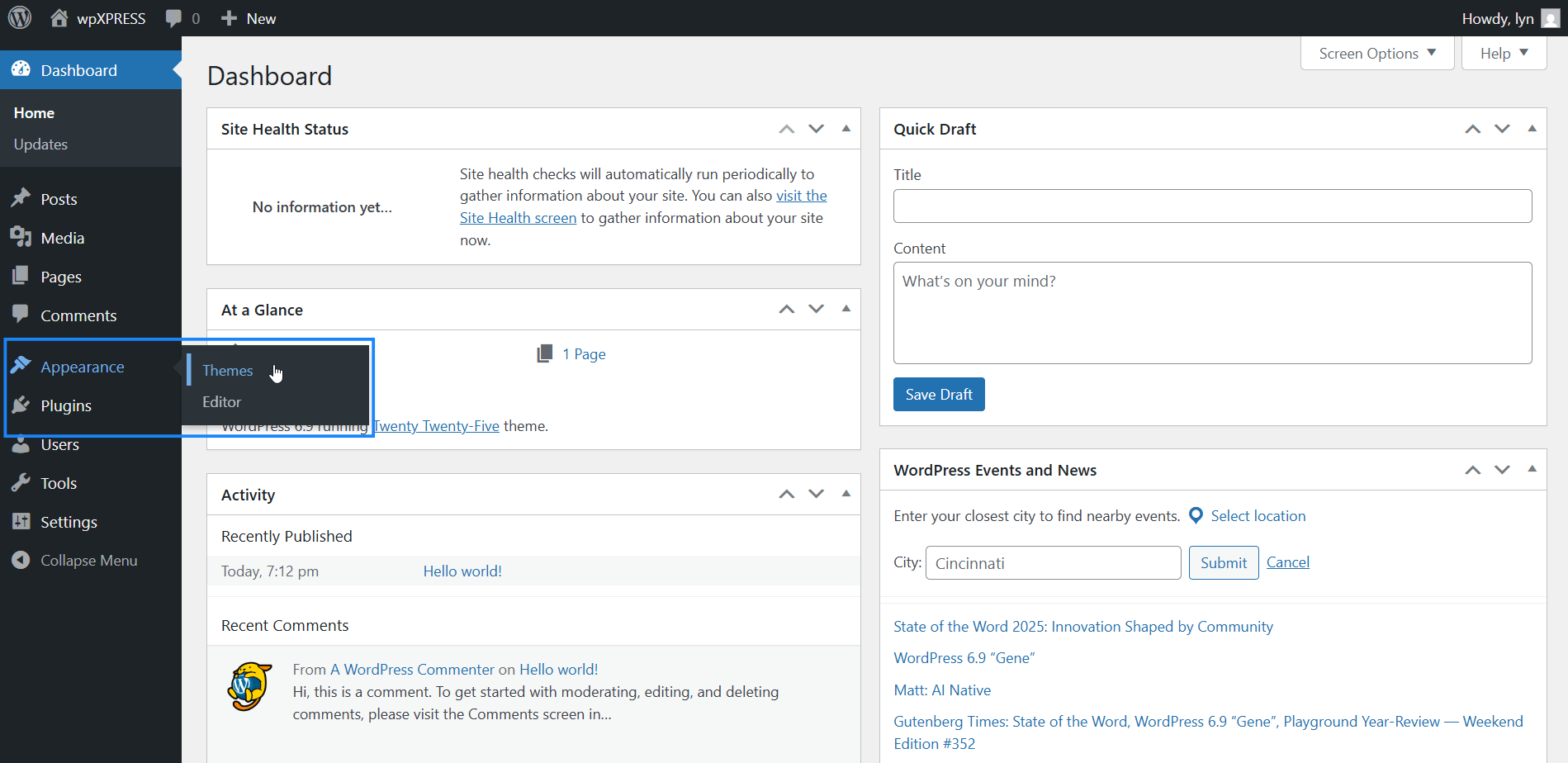 Clicking Appearance → Themes in WordPress